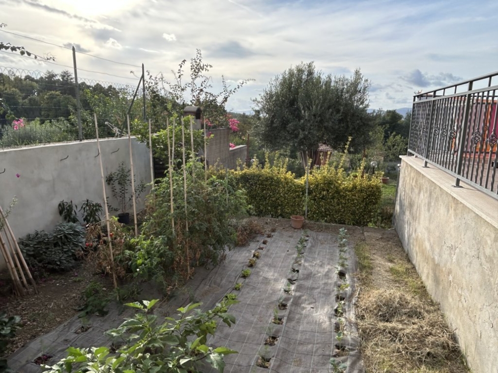IMG_5196 (FILEminimizer).jpeg